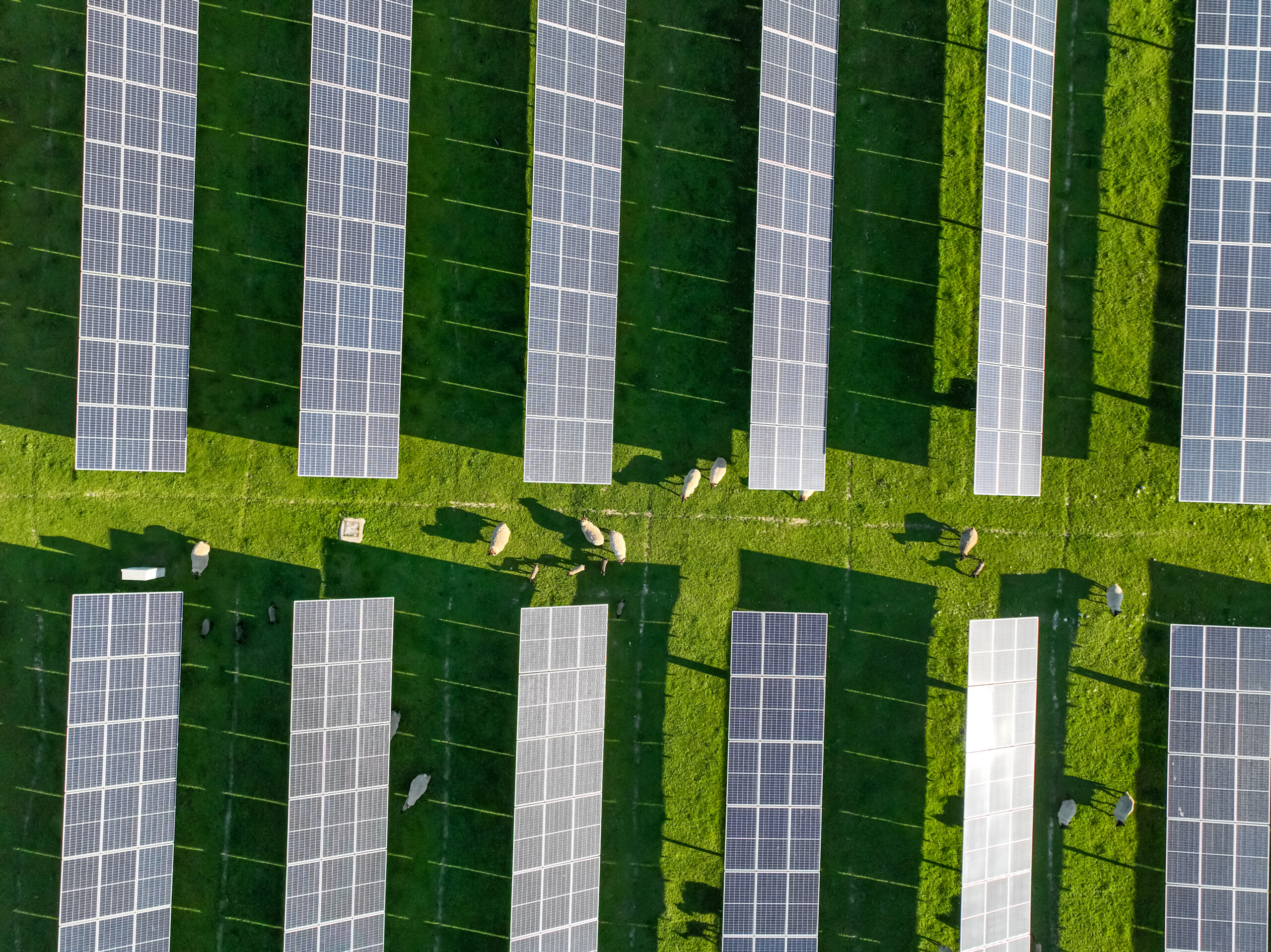Solar panels on field in summer, aerial drone view.