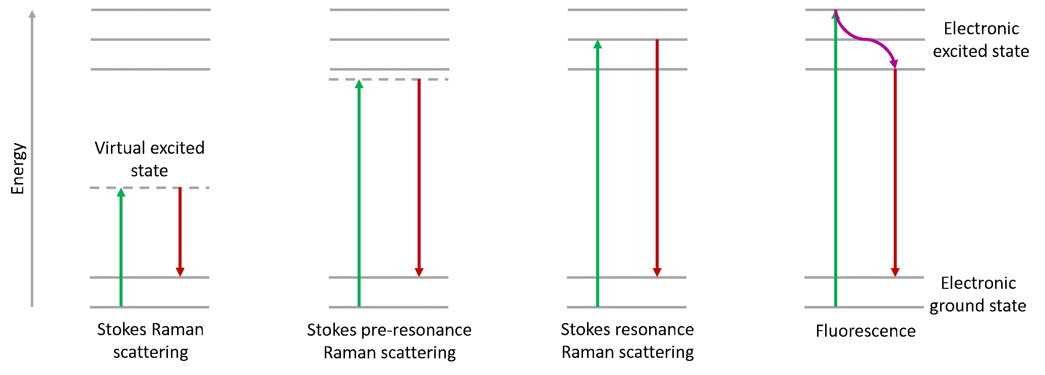 energy diagram highlighting Raman, pre-resonance Raman, resonance Raman, and fluorescence 