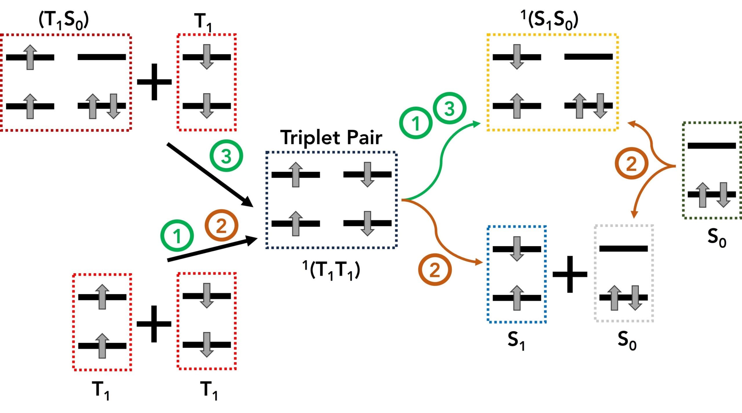 Identifying Triplet-Triplet Annihilation Upconversion Loss Mechanisms Using Transient Absorption and Photoluminescence Spectroscopy