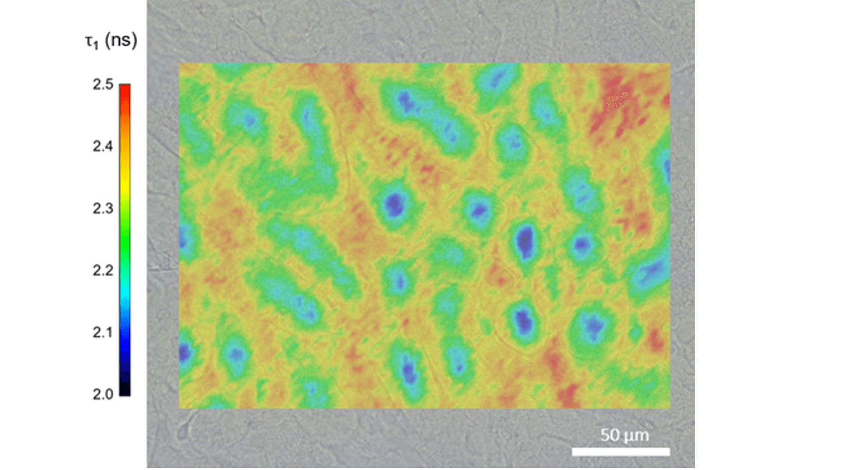 Map of the Month - April