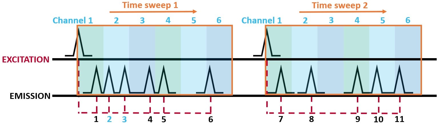 Fig-2-MCS-counting