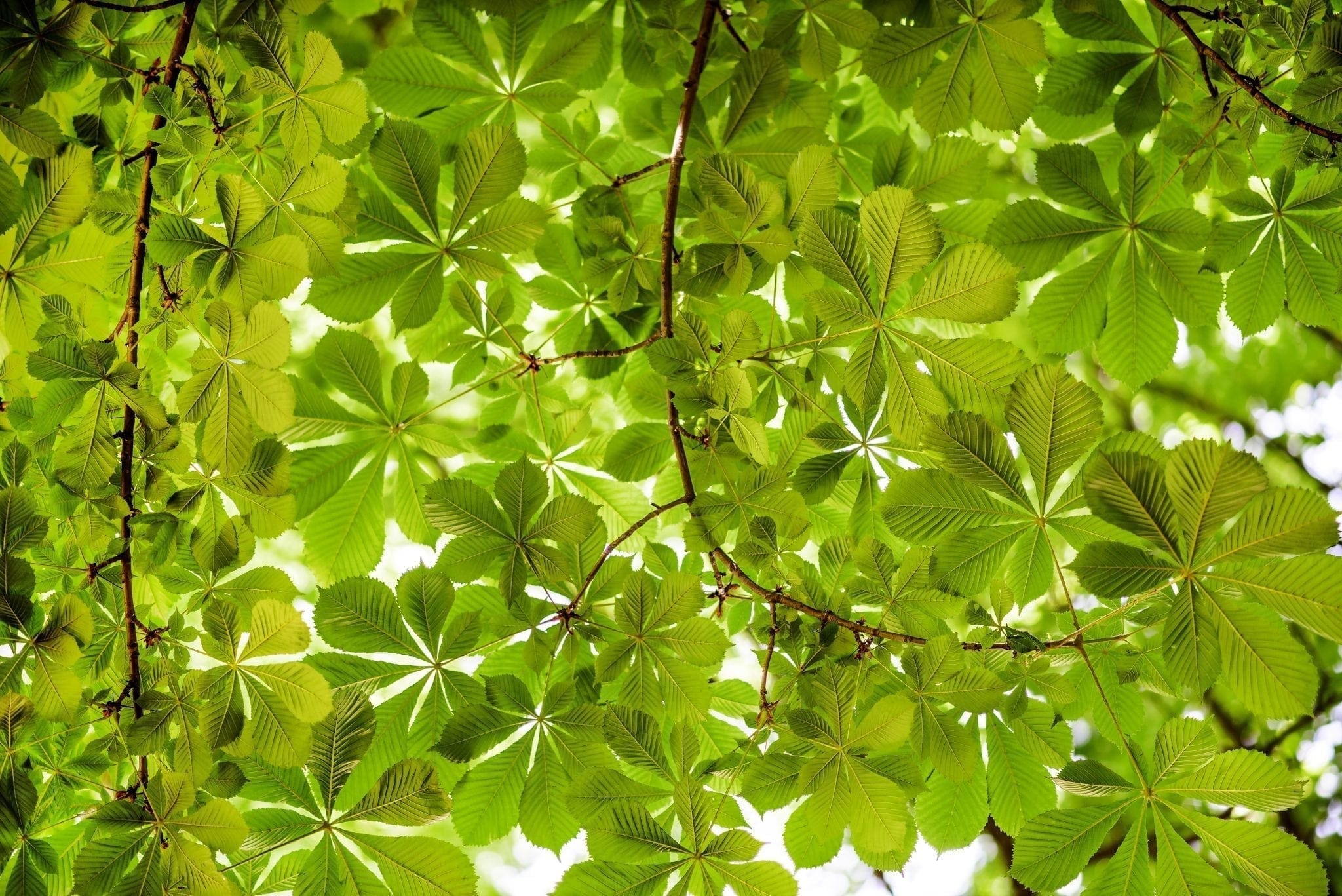 Solar Energy Research: Scientists Develop New Form of Solar Power