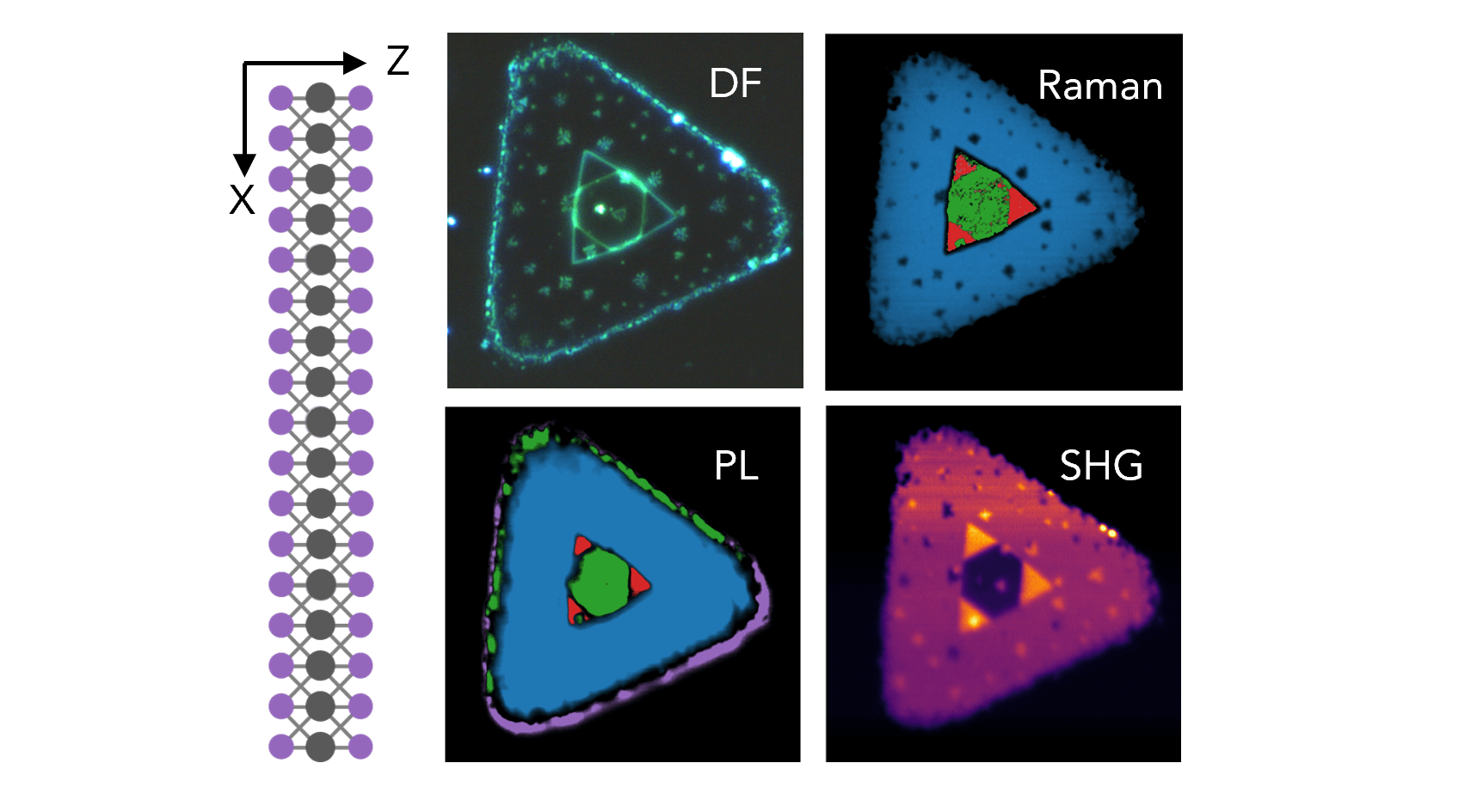 Map of the Month – Multimodal Imaging of WSe2