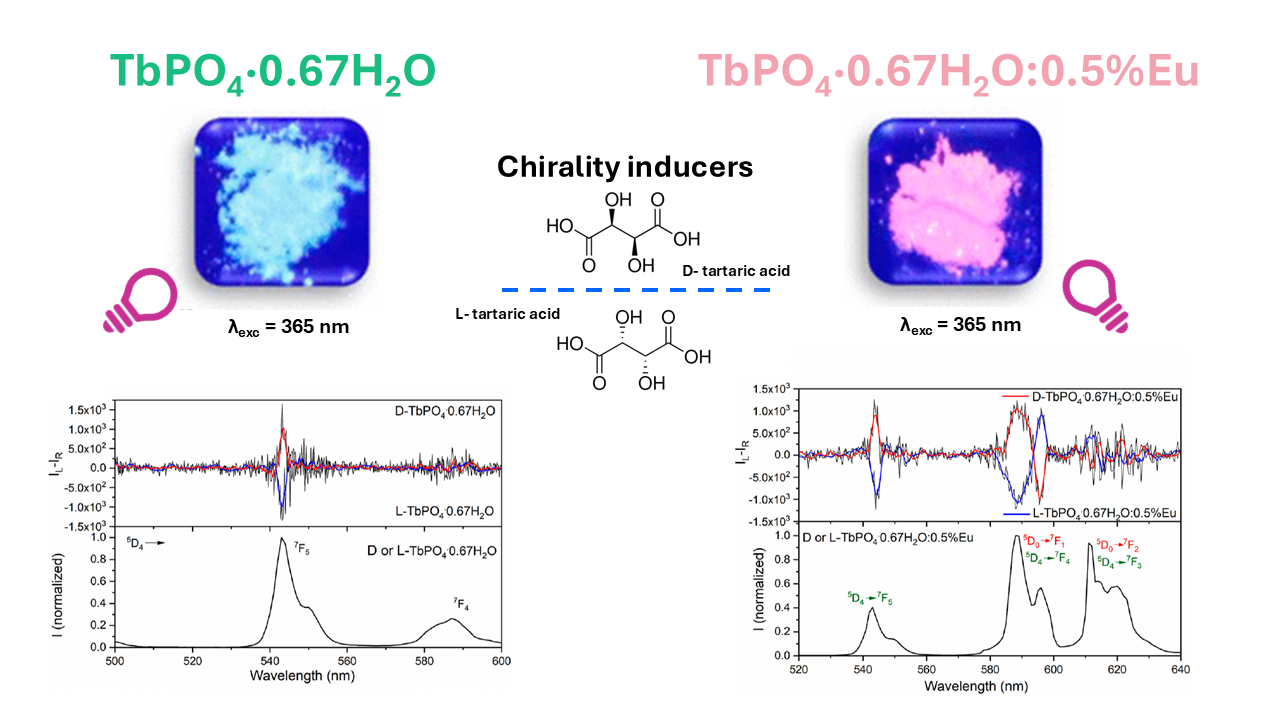 Lanthanide nanocrystal powders were synthesised to exhibit unique CPL properties. The image is reproduced from F. Piccinelli et al.1, Copyright (2024), with permission from the American Chemical Society.