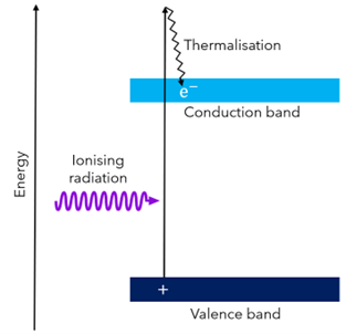 Energy level diagram of a scintillator during the conversion process. Ionising radiation excites an electron (e-) from the valence band to above the conduction band, where it loses energy as heat (thermalisation). Excitation of the electron leaves a positive hole (+) in the valence band. 