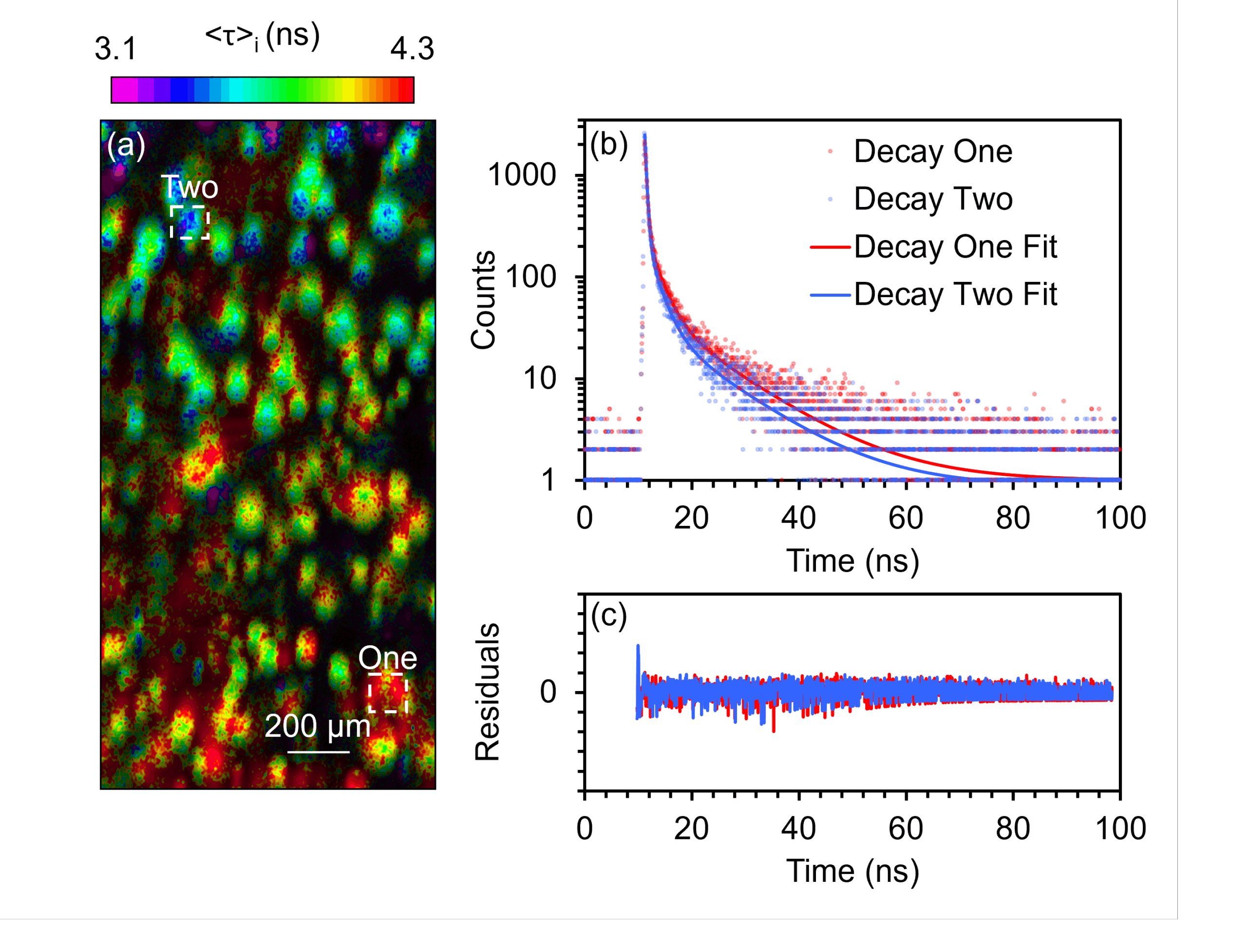 (a) Intensity-averaged lifetime (<τ>i) image of CdSe QDs in borosilicate glass. (b) Fitted tri-exponential fluorescence decay curves for two distinct regions ("One" and "Two") identified in (a). (c) Corresponding residuals for the decay curve fits, indicating fit quality. 