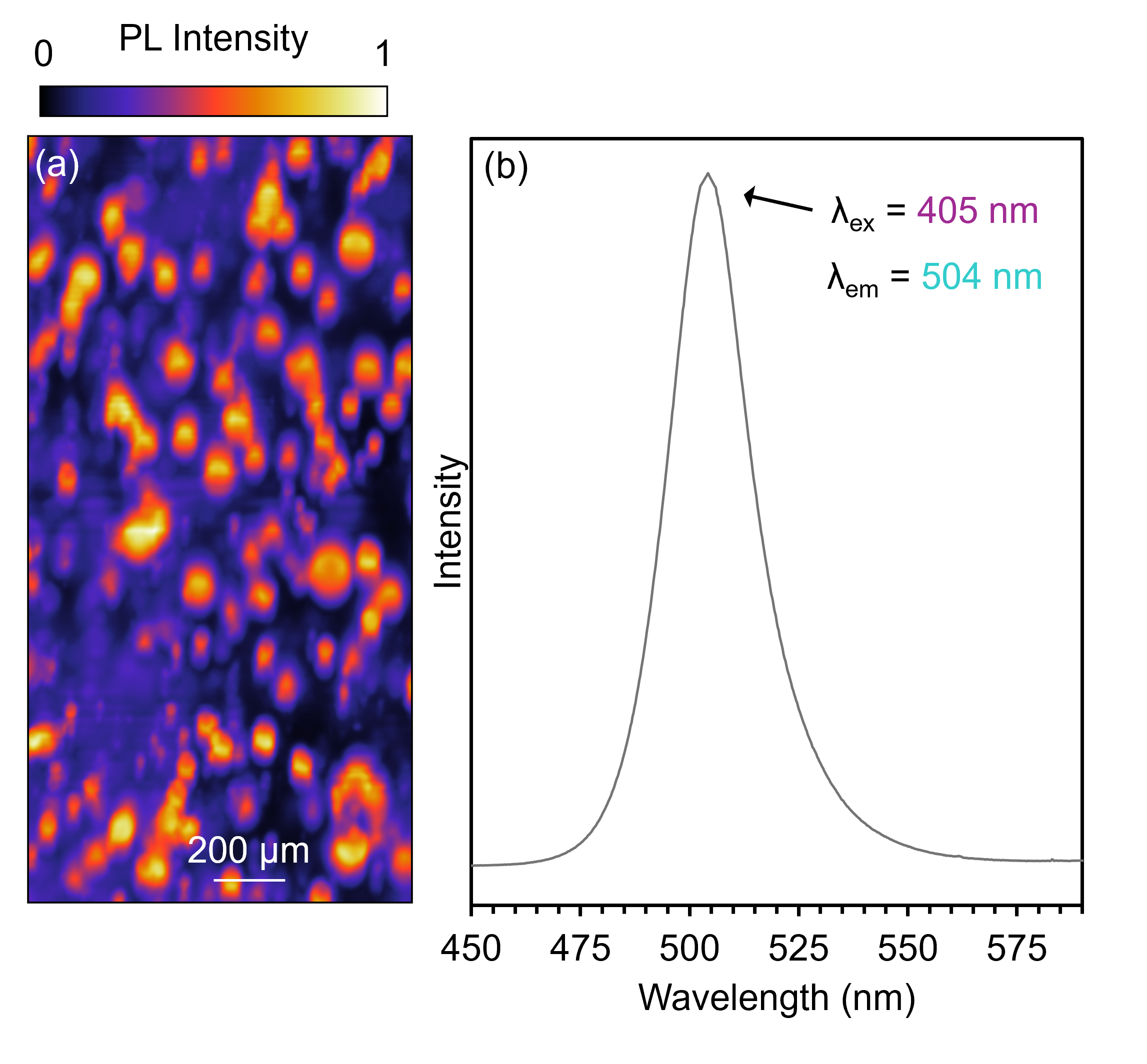 (a) PL image of CdSe QDs in borosilicate glass using the peak intensity of the 504 nm band. (b) A representative PL spectrum showing CdSe emission. 