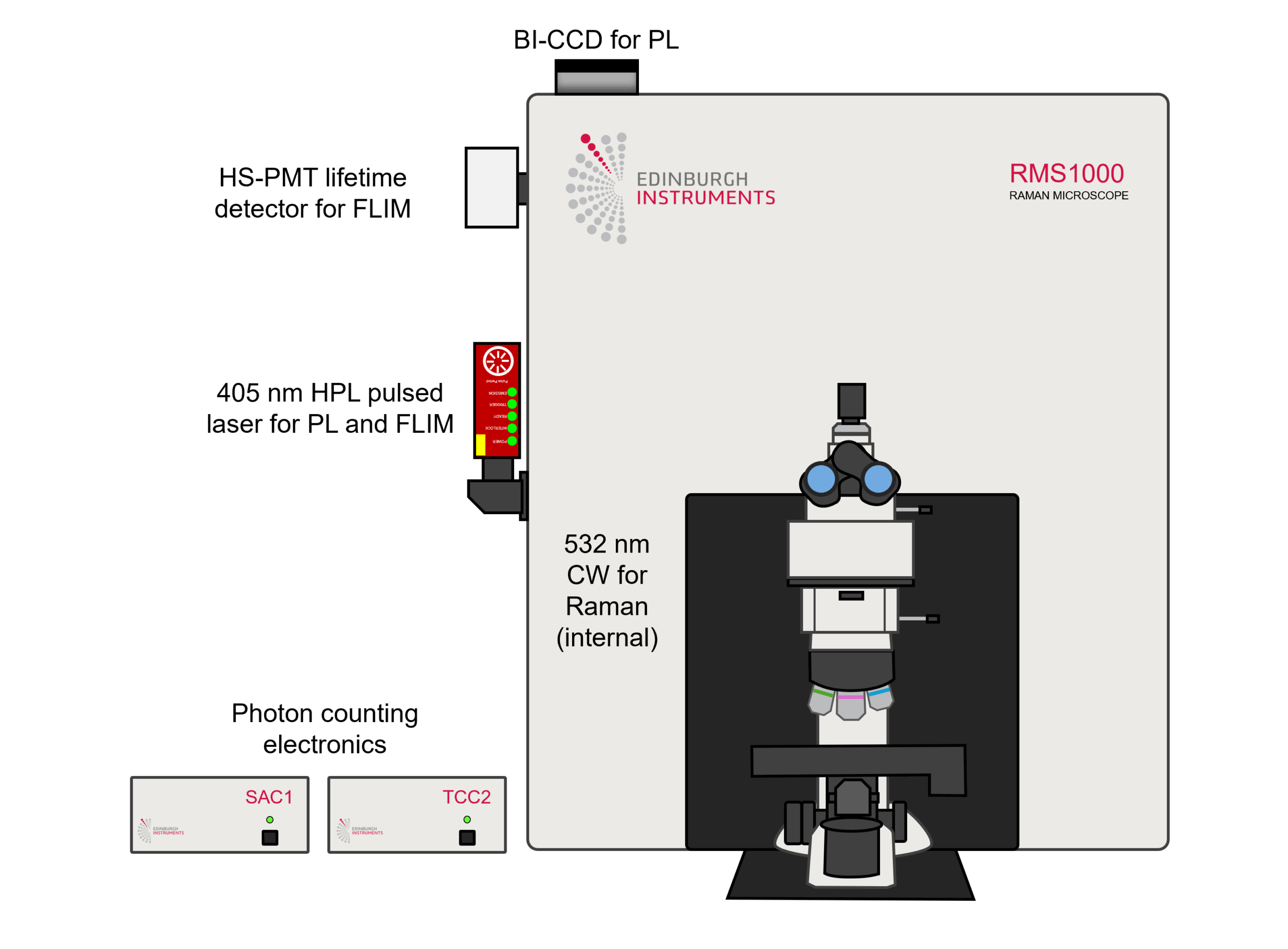 RMS1000 Confocal Multimodal Microscope with the RaFLIM upgrade. 
