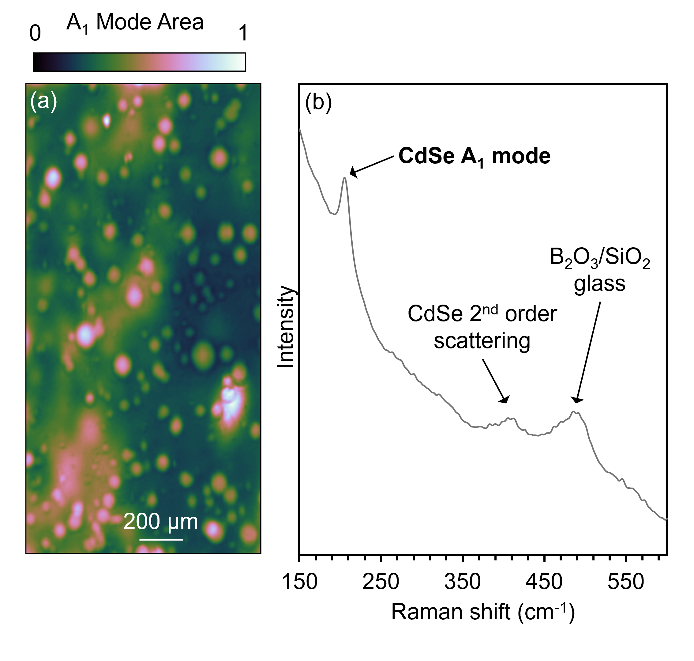 (a) Raman image of CdSe QDs in borosilicate glass using the peak area of the A1 symmetry mode to generate contrast. (b) A representative spectrum showing CdSe and borosilicate Raman signatures. 