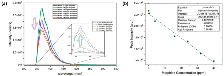  (a) Emission of sensor with increasing concentrations of morphine. Inset: emission spectrum of pure morphine, (b) plot of sensor peak intensity against morphine concentration. Reprinted with permission from R. Boroujerdi, et al. 