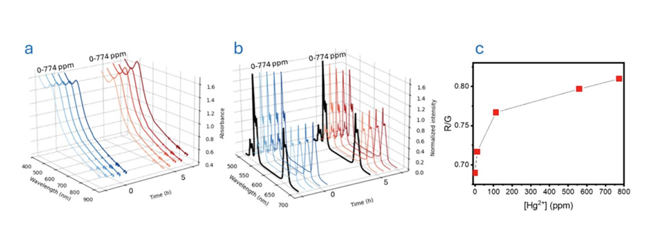 . Optical response of the UCNP–AuNP nanosensor at increasing mercury concentrations. a) Absorption spectra after mixing and after 5 hours, b) Emission spectra normalised at 655 nm after mixing and after 5 hours, c) R/G ratio as a function of Hg2+ concentration. The image is reprinted from J. M. González et al.1, Copyright (2025), with permission from the Journal of Physics: Photonics.