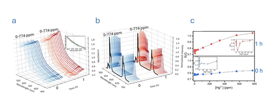 Response of UCNP-AuNP/DETA system in presence of Hg2+. a) Absorption spectra at 0 h and 1 h, b) emission spectra, c) R/G ratio at 0 and 1 h interaction. The image is reprinted from J. M. González et al.1, Copyright (2025), with permission from the Journal of Physics: Photonics.