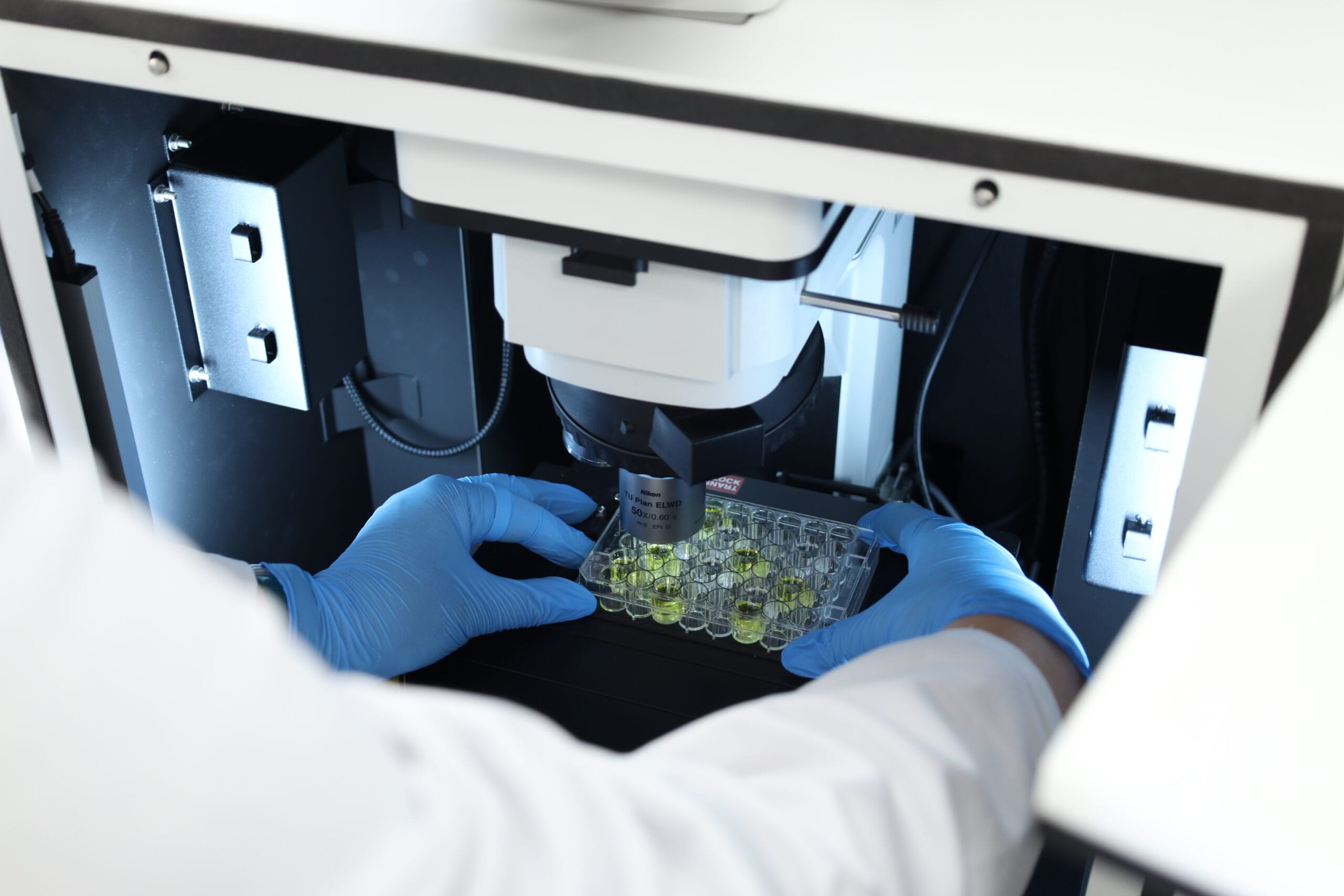 Multi-well Plate Analysis for High-Throughput Raman Spectroscopy