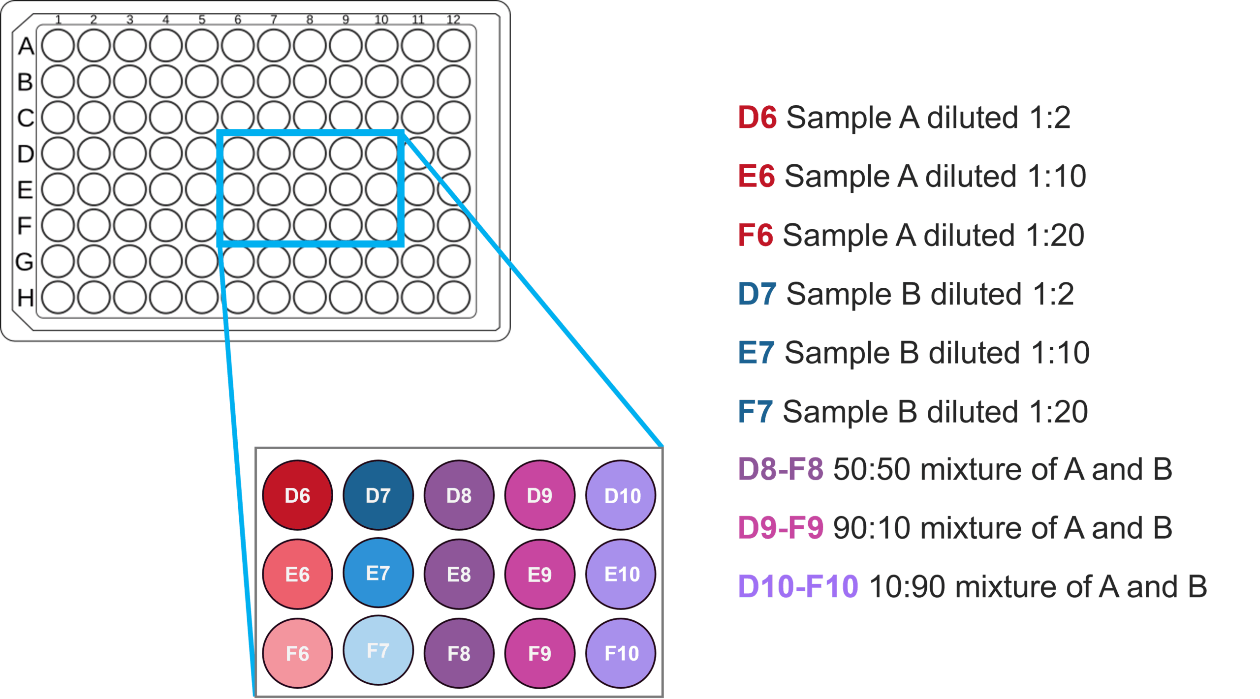 Plate reader layout detailing solutions and mixtures pipetted into each well.