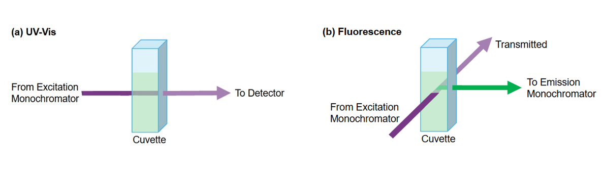 Diagram comparing the light path in UV-Vis and fluorescence spectroscopy.