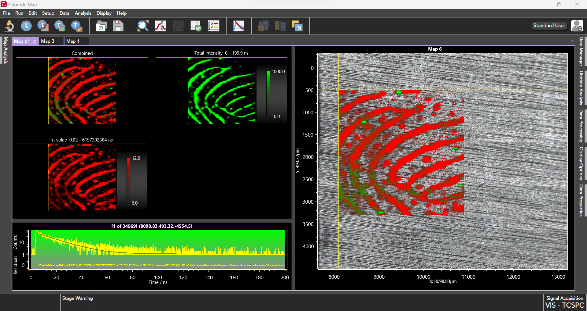 FLIM maps showing emission intensity and fluorescence lifetime distribution across samples analyzed in FluoracleMap.