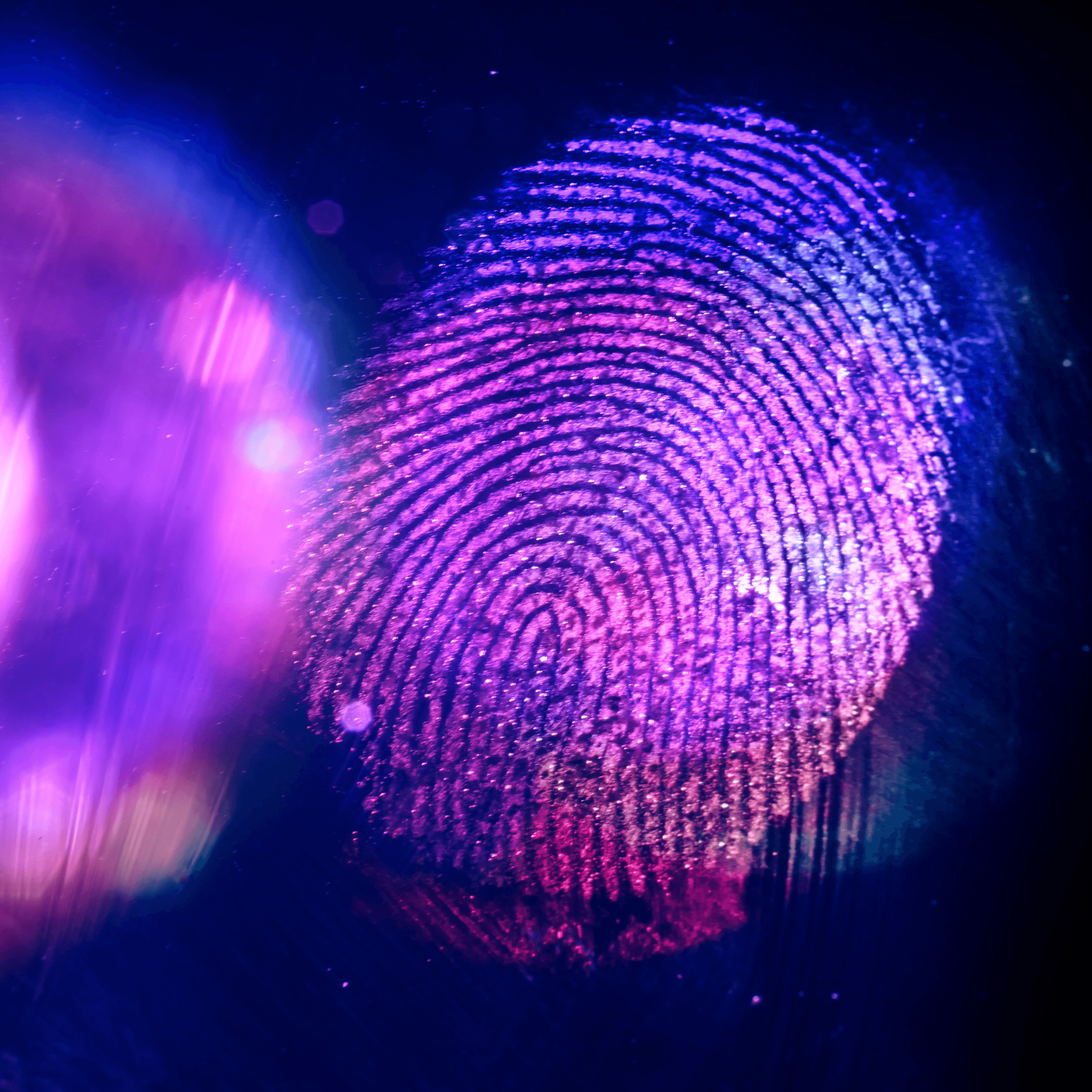 From Touch to Trace: High-Resolution Fingerprint Photocopying with Fluorescent Nanofibres