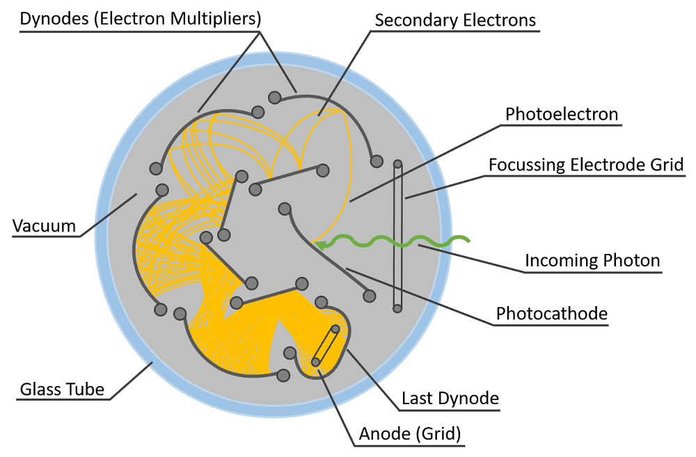 Graphic showing Top-down view of a side window PMT with nine dynodes in a circular-cage arrangement.