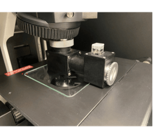 Cuvette holder for Raman sampling of liquids