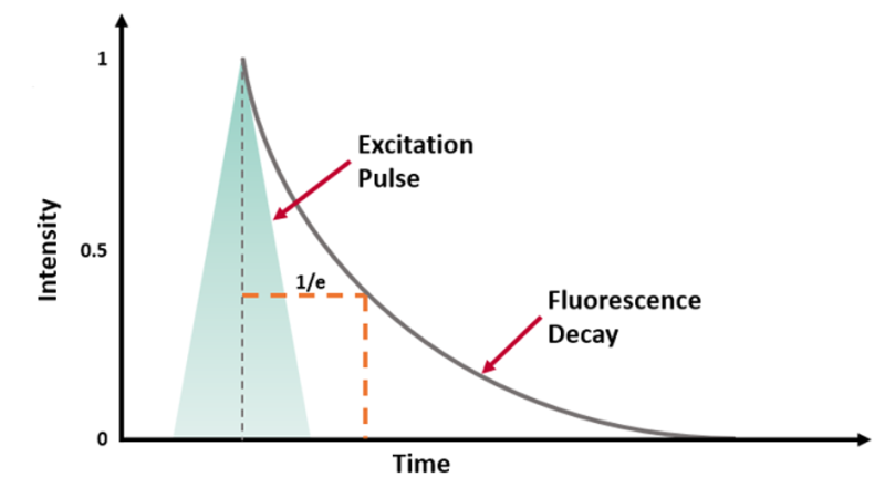 BLOG-COVER-What-is-Fluorescence-Lifetime-1